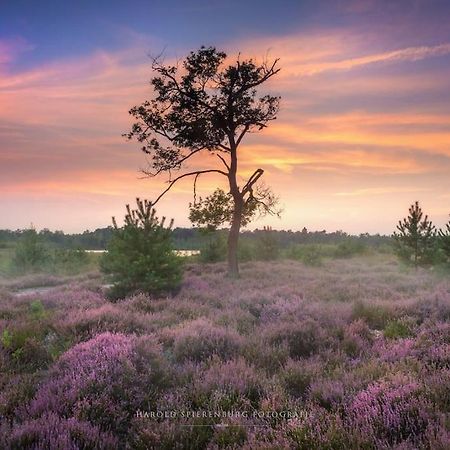 Natuurhuisje Oisterwijk Βίλα Εξωτερικό φωτογραφία