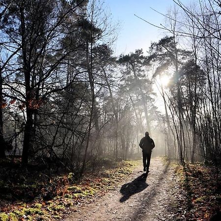 Natuurhuisje Oisterwijk Βίλα Εξωτερικό φωτογραφία