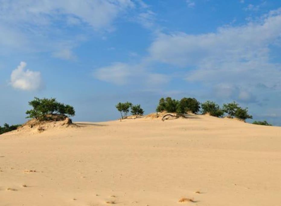 Natuurhuisje Oisterwijk Βίλα Εξωτερικό φωτογραφία