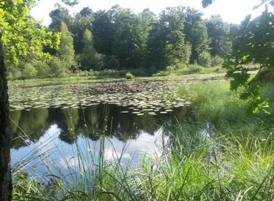 Natuurhuisje Oisterwijk Βίλα Εξωτερικό φωτογραφία