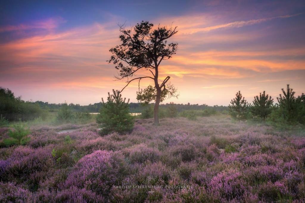 Natuurhuisje Oisterwijk Βίλα Εξωτερικό φωτογραφία