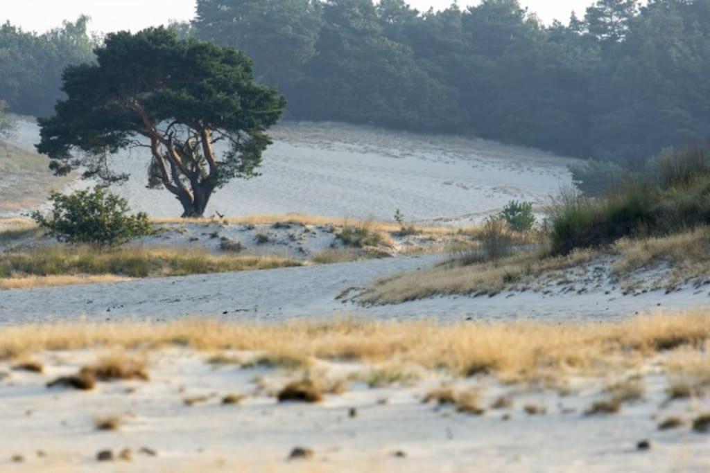 Natuurhuisje Oisterwijk Βίλα Εξωτερικό φωτογραφία