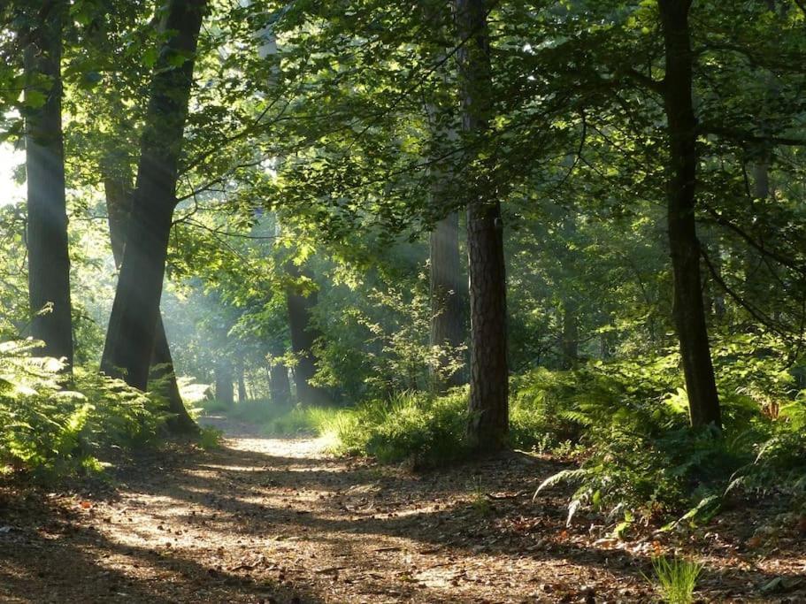 Natuurhuisje Oisterwijk Βίλα Εξωτερικό φωτογραφία