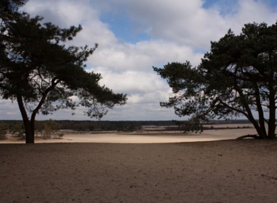 Natuurhuisje Oisterwijk Βίλα Εξωτερικό φωτογραφία