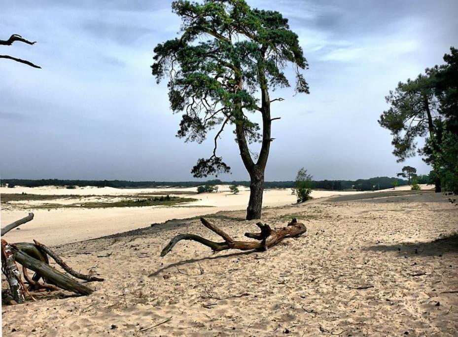 Natuurhuisje Oisterwijk Βίλα Εξωτερικό φωτογραφία